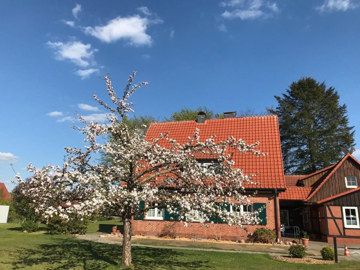 Ferienhaus-Eschede المظهر الخارجي الصورة